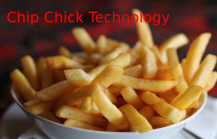 Chip Chick Technology