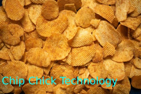 Chip Chick Technology