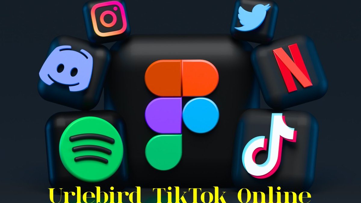 Urlebird TikTok Online Viewer