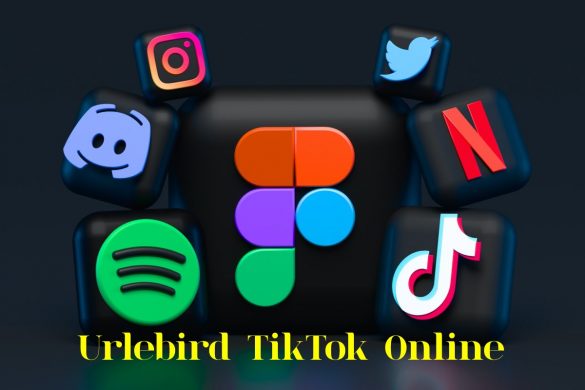 Urlebird TikTok Online Viewer