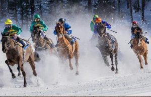 india's first & foremost horse racing portal