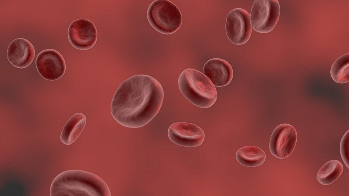 rajkotupdates.news:emm-negative-rare-blood-group-found-in-rajkot-man-11th-such-case-worldwide