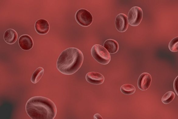 rajkotupdates.news:emm-negative-rare-blood-group-found-in-rajkot-man-11th-such-case-worldwide