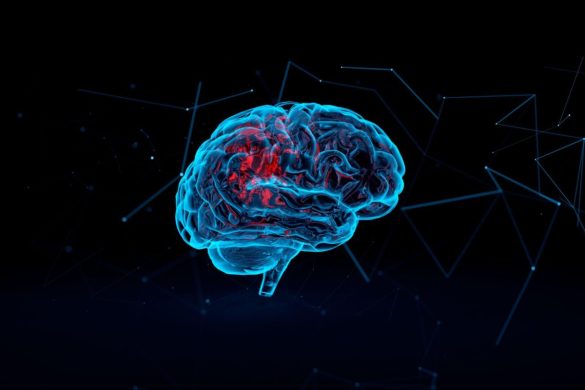 rajkotupdates.news : elon musk in 2022 neuralink start to implantation of brain chips in humans
