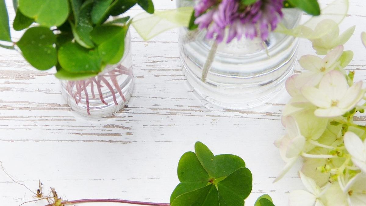 Wellhealthorganic.com:diet-for-excellent-skin-care-oil-is-an-essential-ingredient