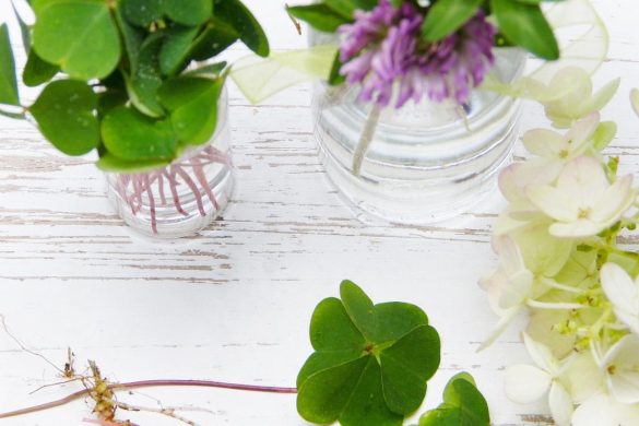 Wellhealthorganic.com:diet-for-excellent-skin-care-oil-is-an-essential-ingredient