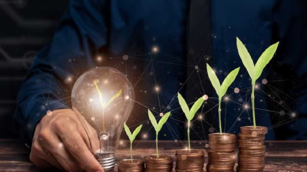 How to Investing in Startups?